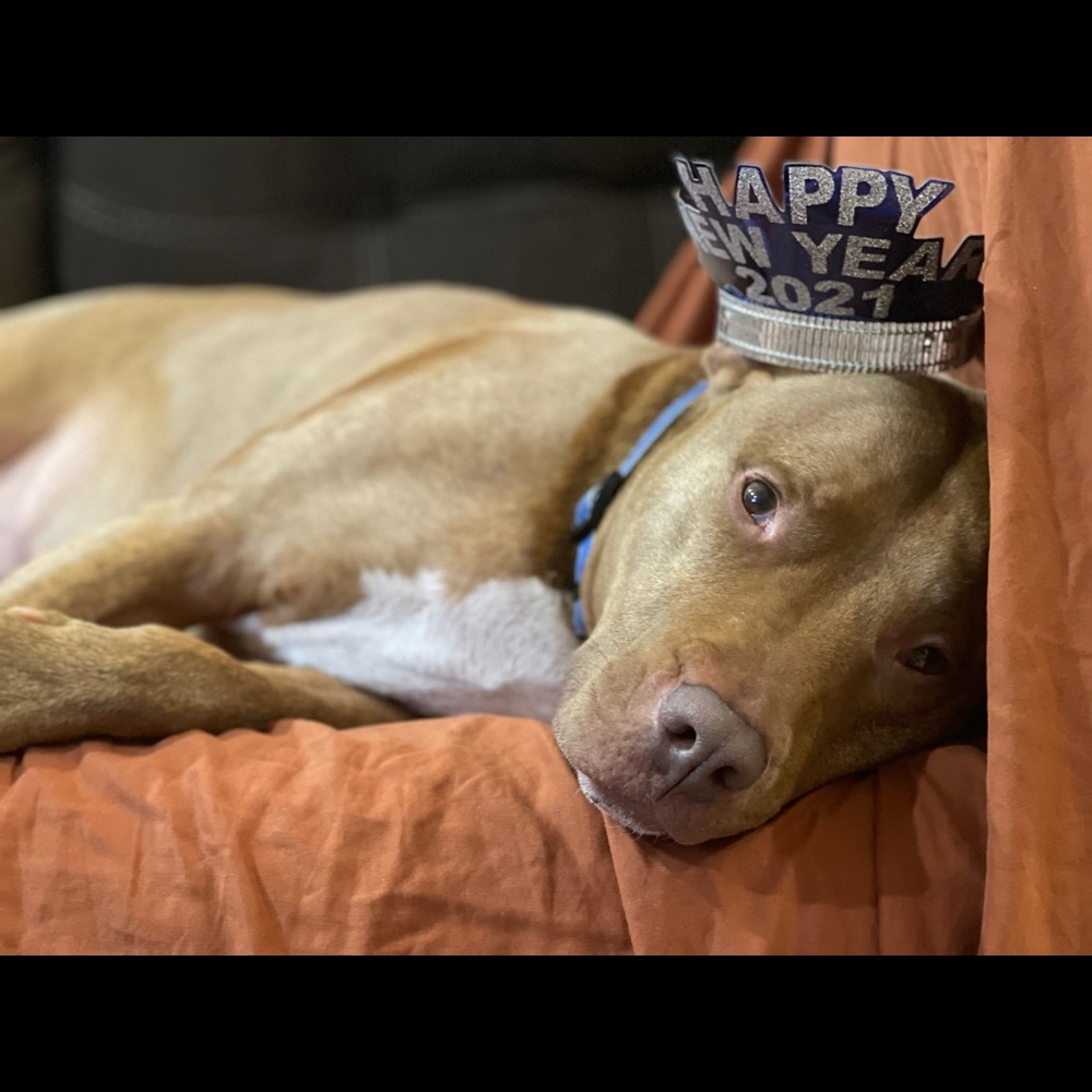 Meet your Posher, Mom On A Mission